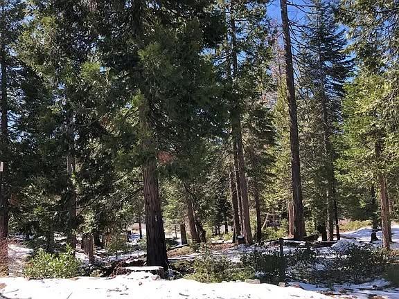 42518 Tourmaline Ln, Shaver Lake, CA 93664
