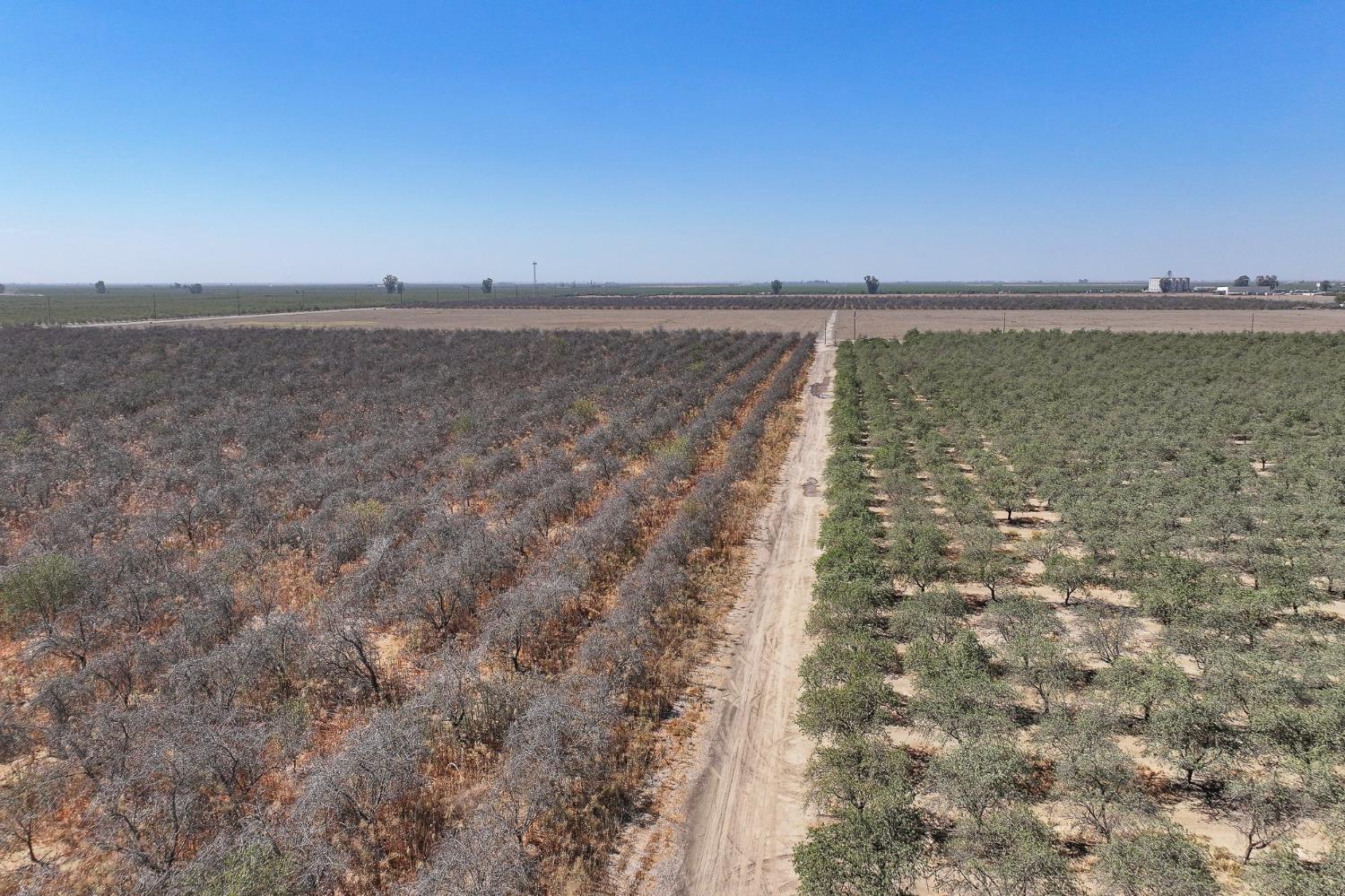 3099 Alila Ave, Pixley, CA 93256