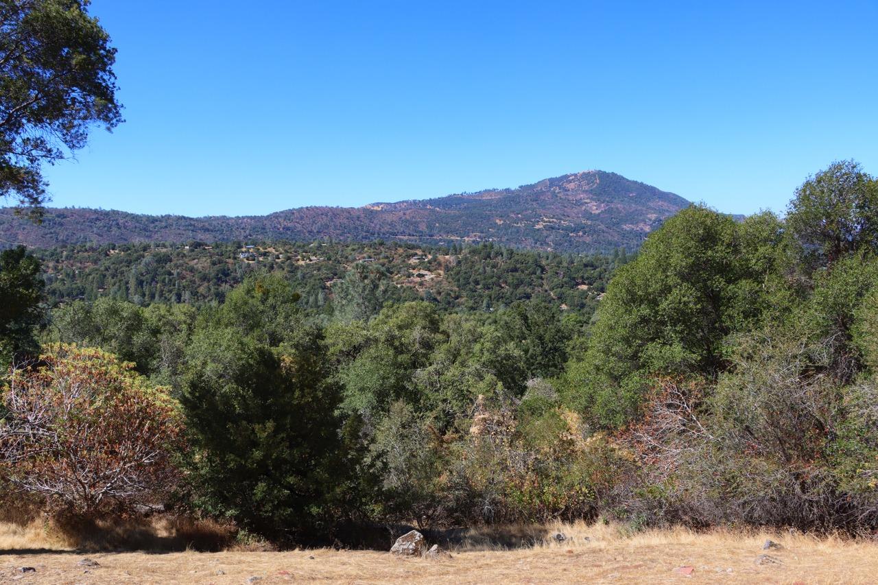 39406 John West Rd, Oakhurst, CA 93644