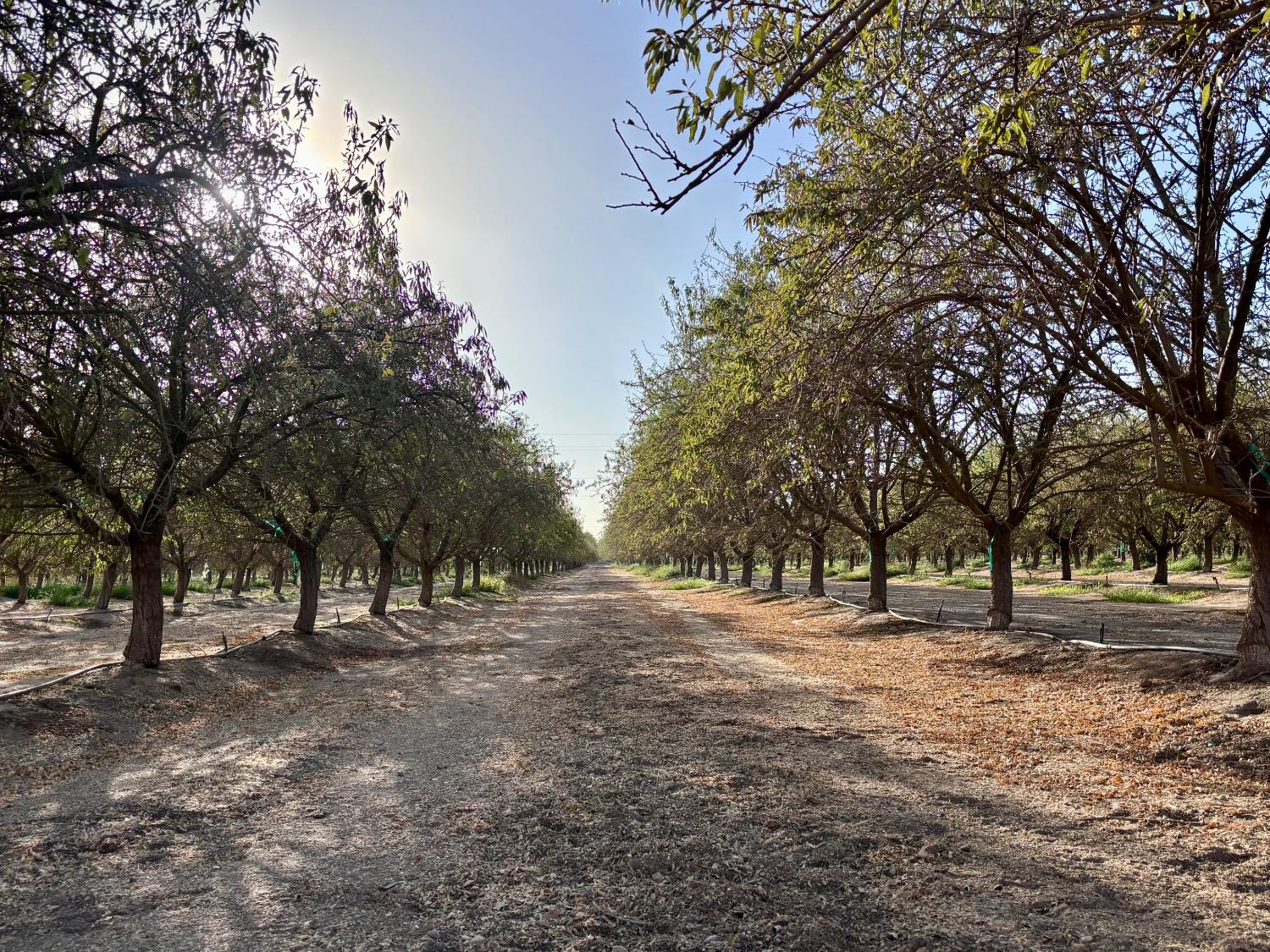 21671 Ave 18, Madera, CA 93637