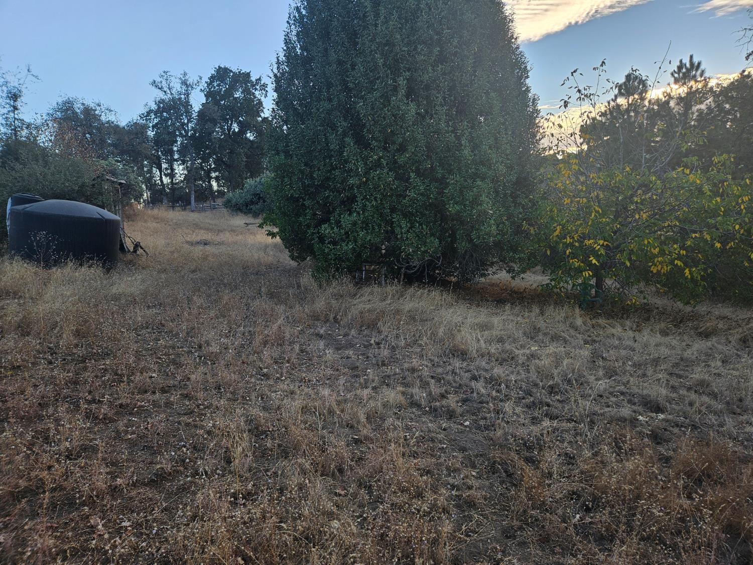 10000 Bluebird lane, Miramonte, CA 93641