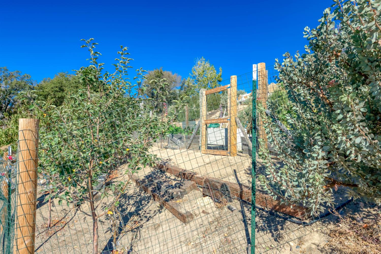 45032 Auberry Rd, Auberry, CA 93602
