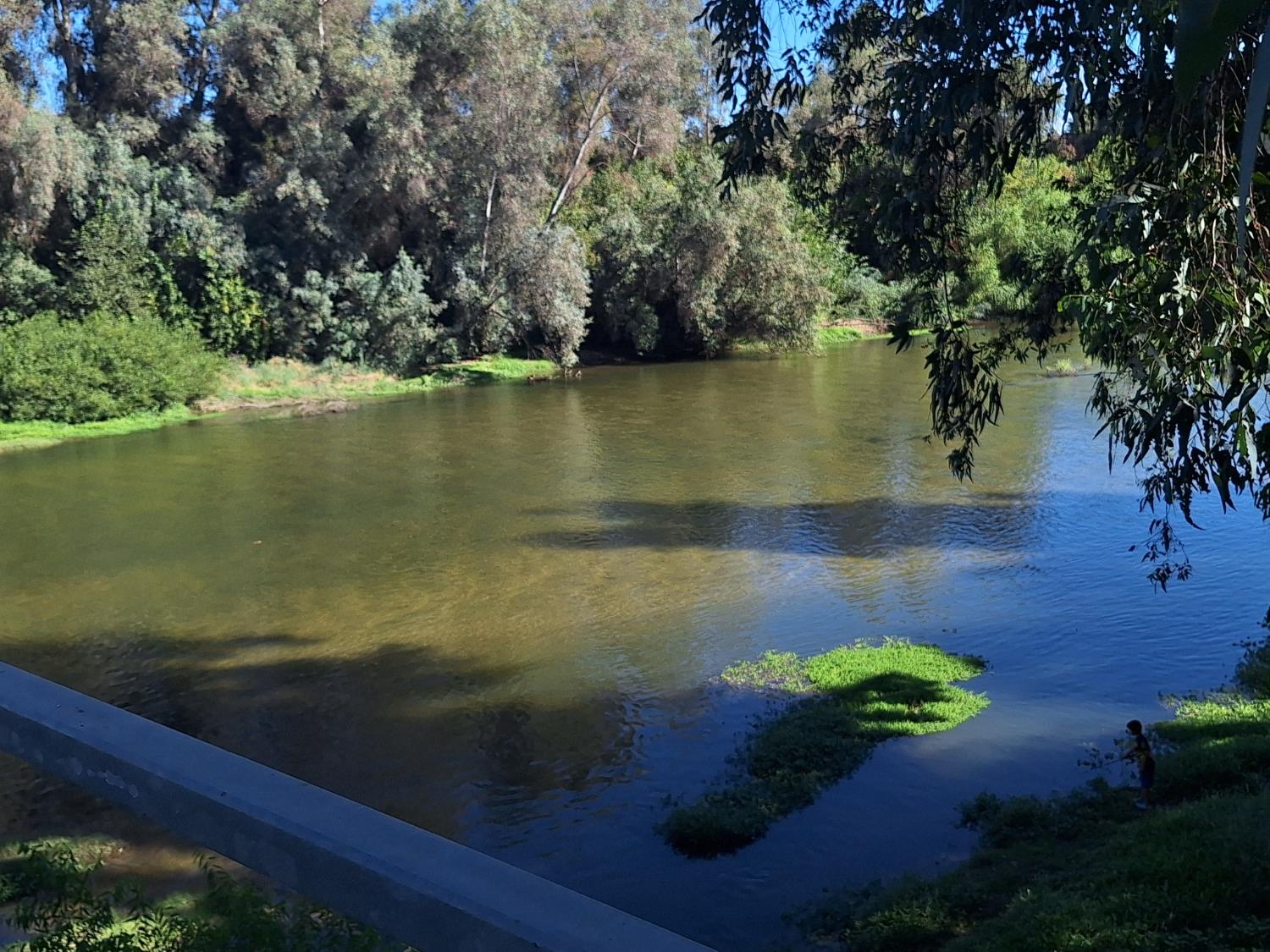 1300 W Olson Ave #166, Reedley, CA 93654