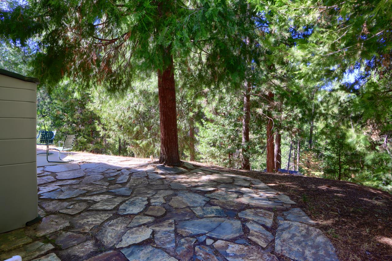7179 Snyder Ridge, Mariposa, CA 95338