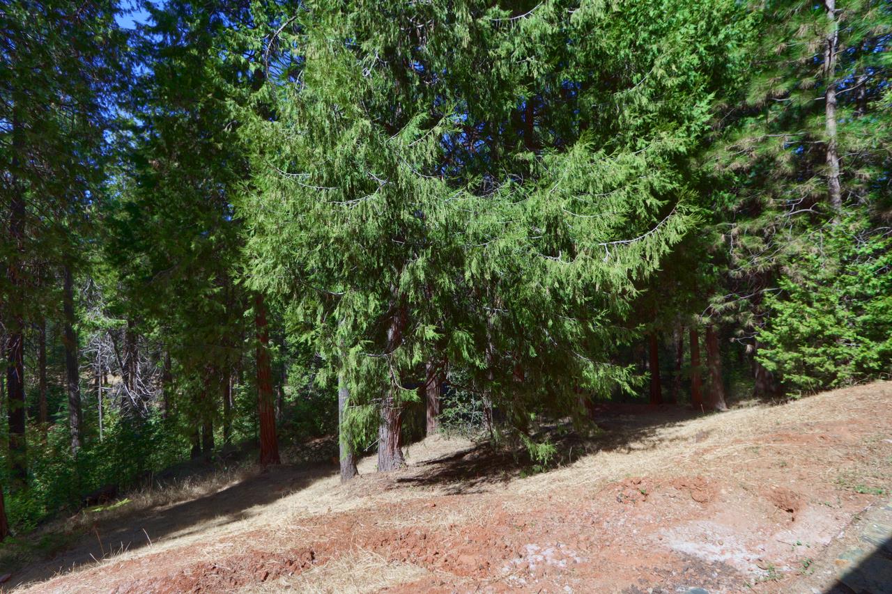 7179 Snyder Ridge, Mariposa, CA 95338