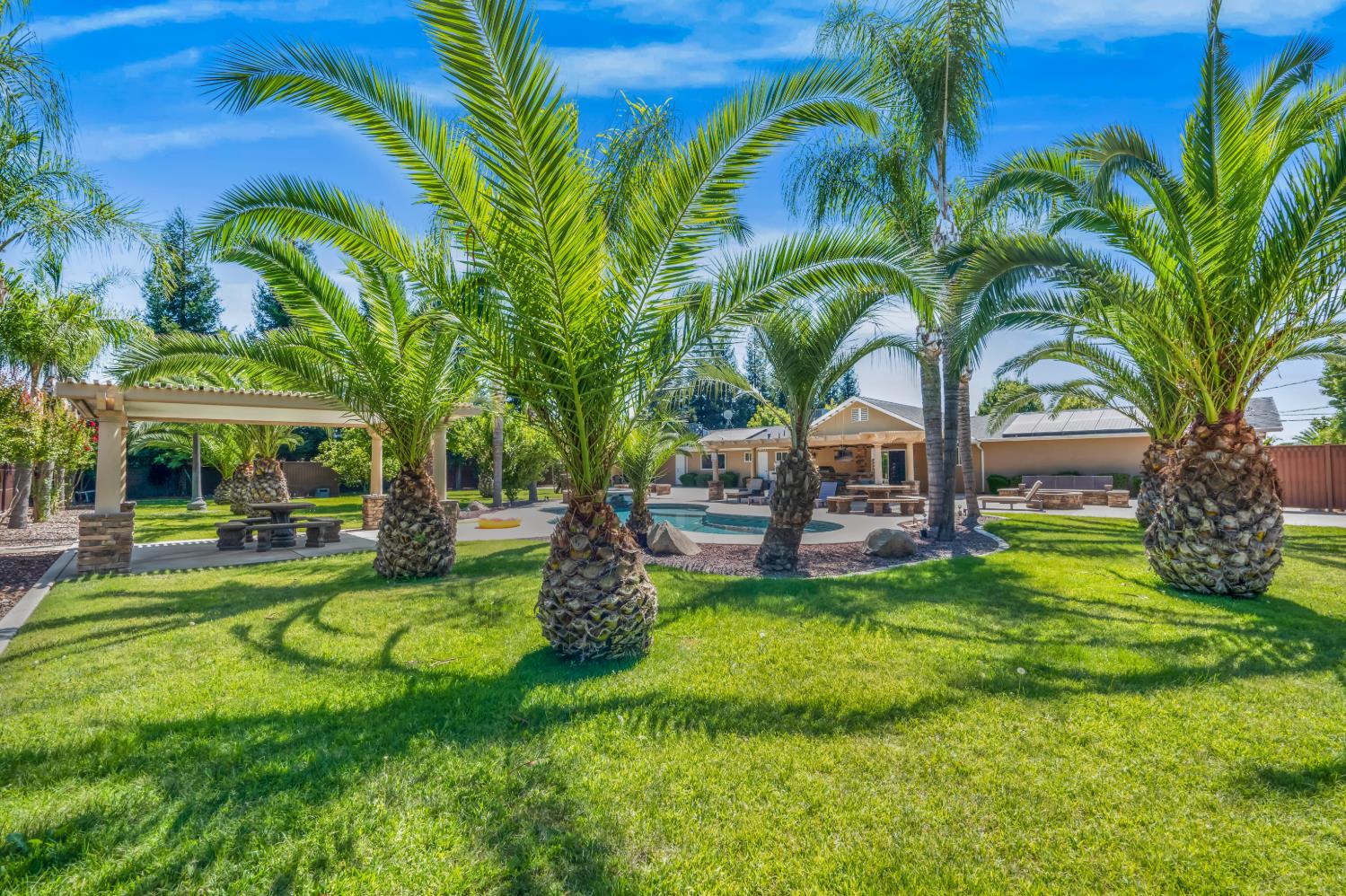 7010 S Frankwood Ave, Reedley, CA 93654