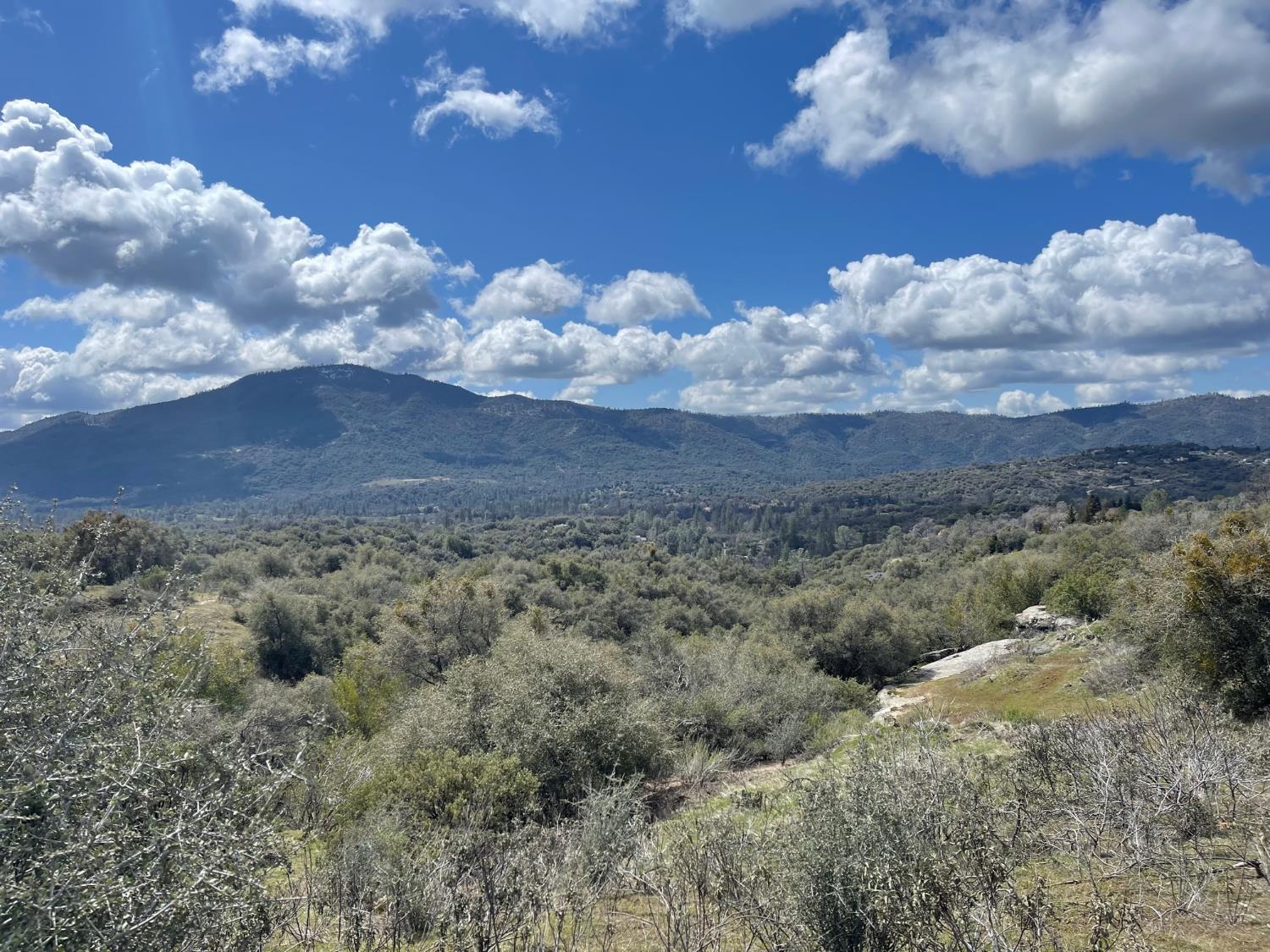 14 Miami Highlands, Oakhurst, CA 93644