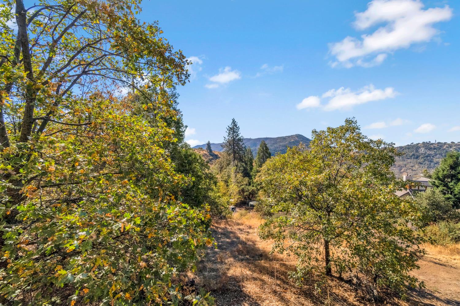 34075 Shaver Springs Rd, Auberry, CA 93602
