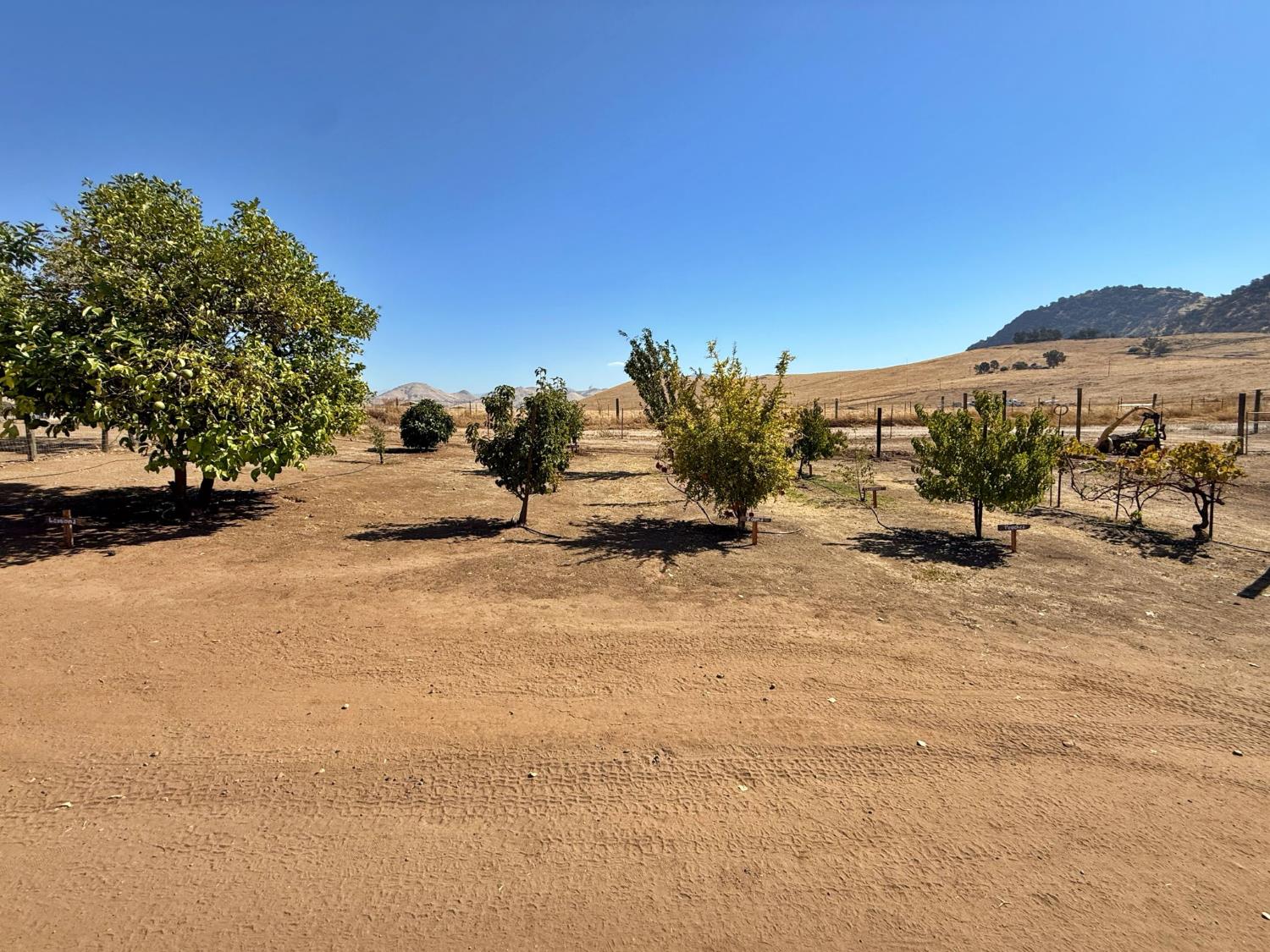 1969 Pederson Ave, Sanger, CA 93657