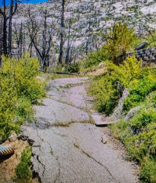 55277 Jungletown, Big Creek, CA 93605