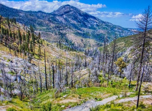 55277 Jungletown, Big Creek, CA 93605