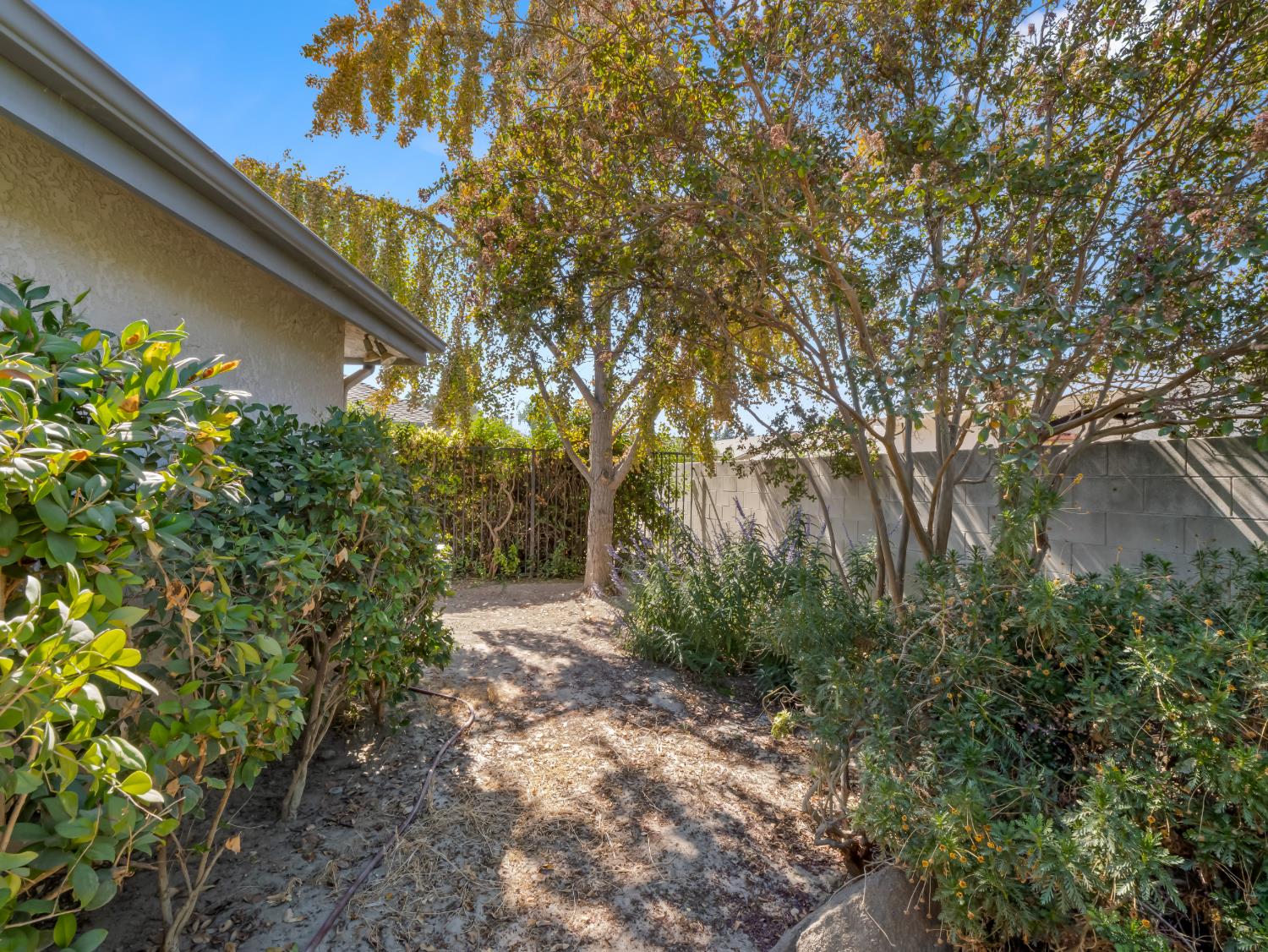 2055 N Cambridge Cir, Reedley, CA 93654