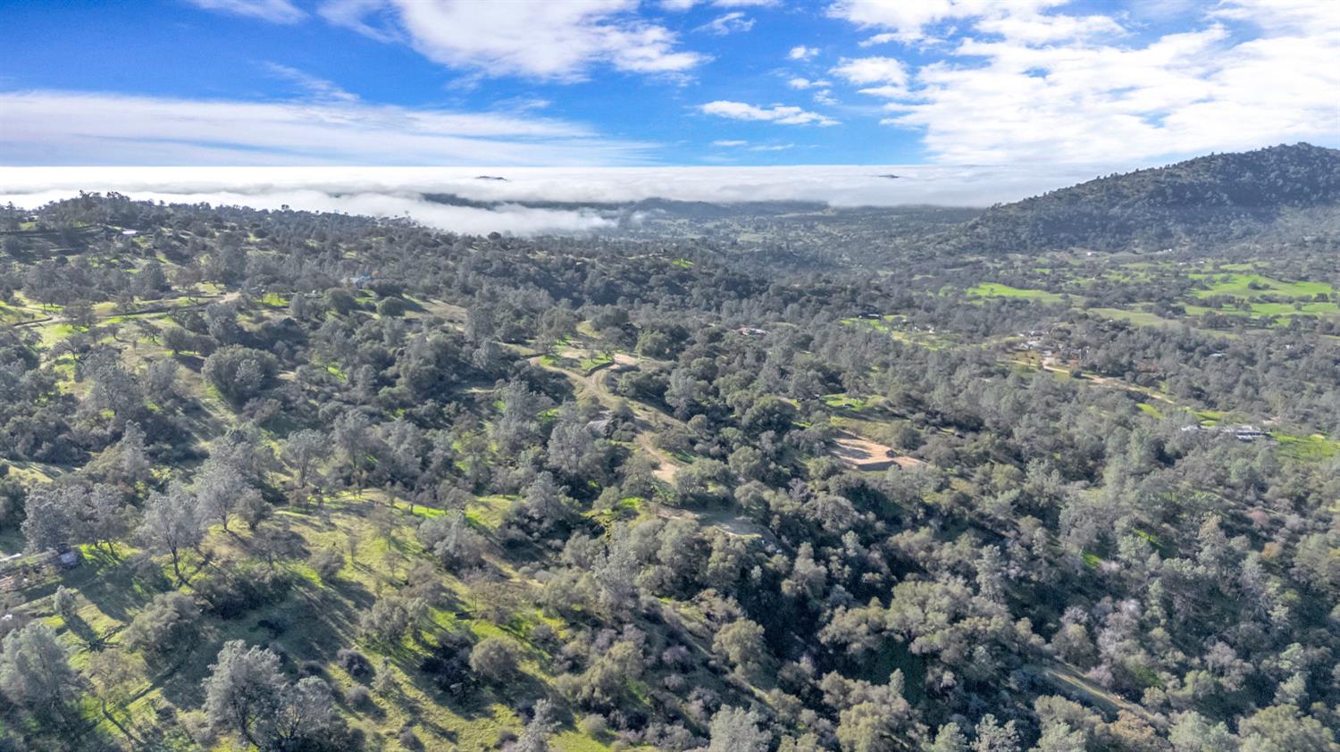 31646 Pennyroyal Lane, Prather, CA 93651