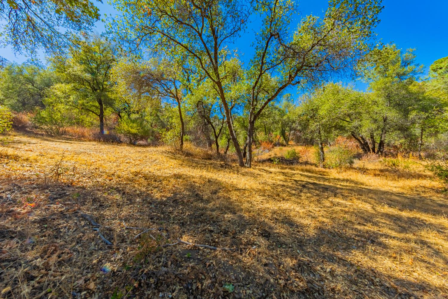 6 Blackberry Trail, North Fork, CA 93643