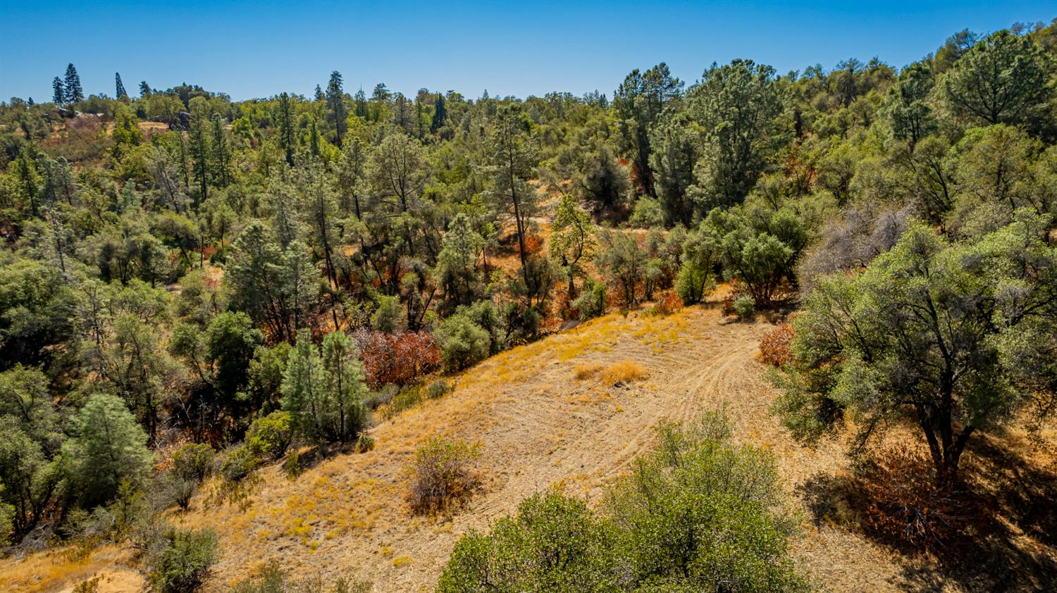 6 Blackberry Trail, North Fork, CA 93643