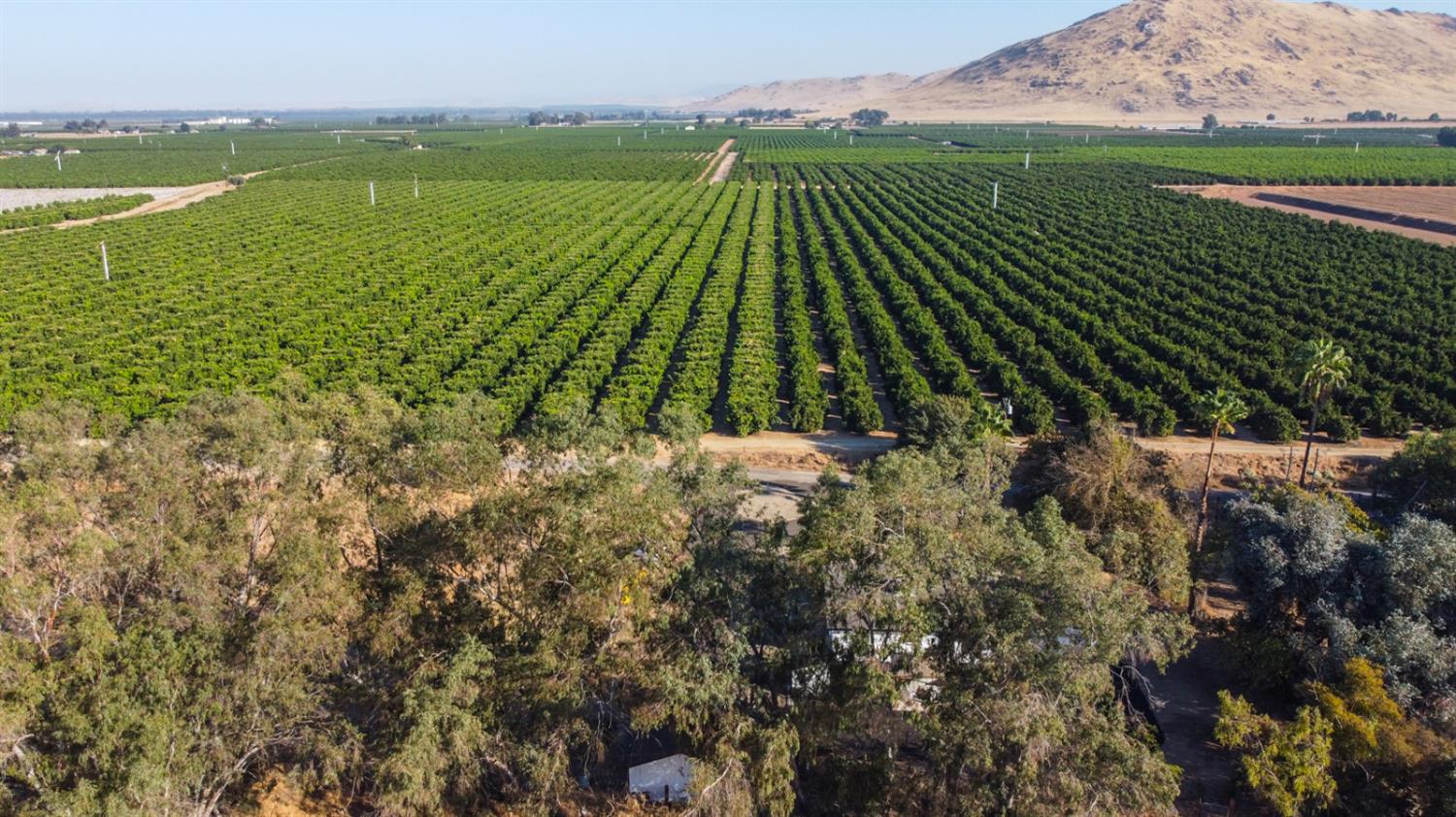 19637 E American Ave, Reedley, CA 93654