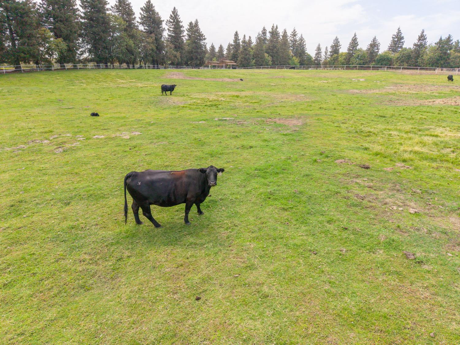 6440 Golden State Blvd, Madera, CA 93637