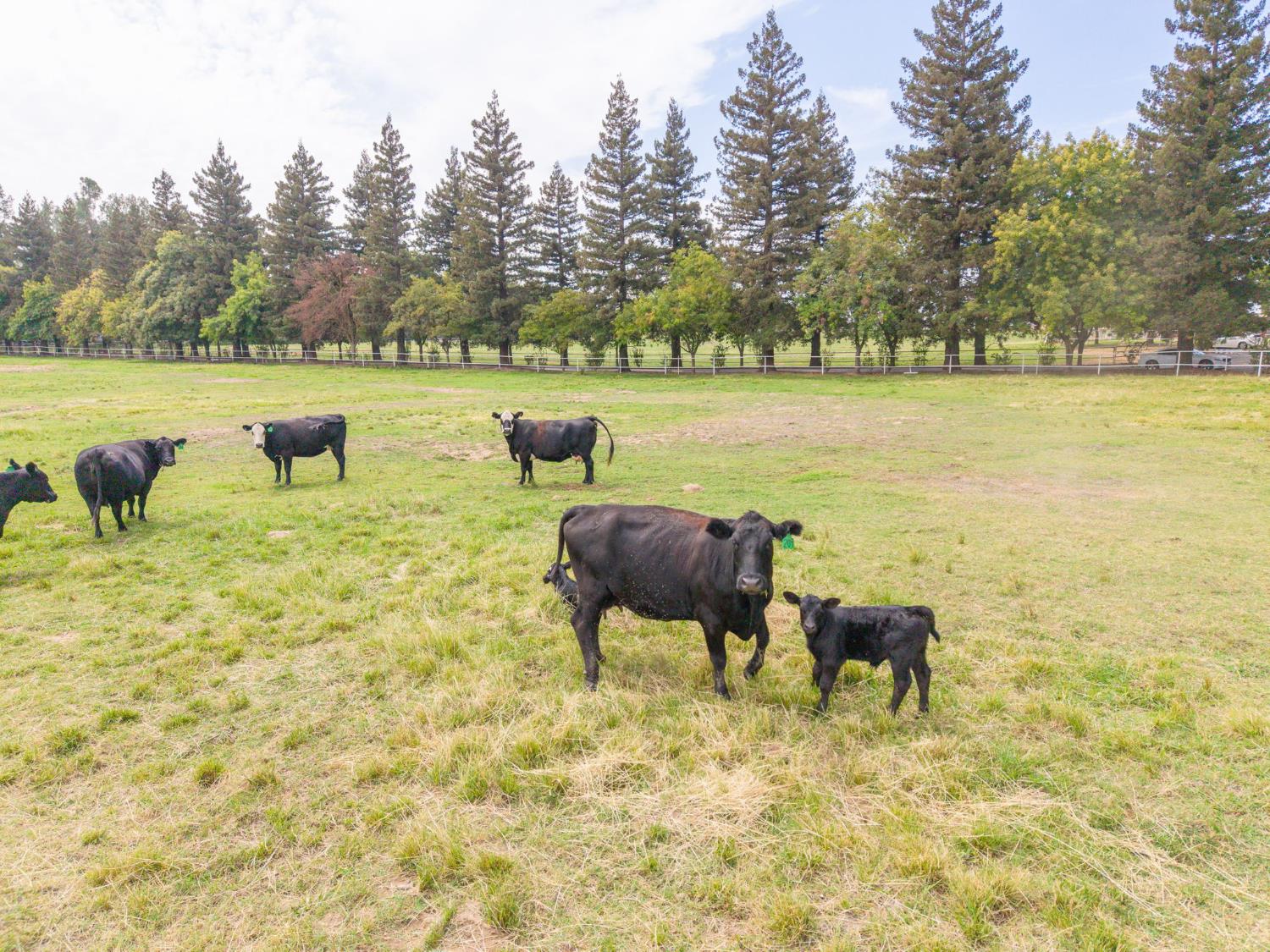 6440 Golden State Blvd, Madera, CA 93637