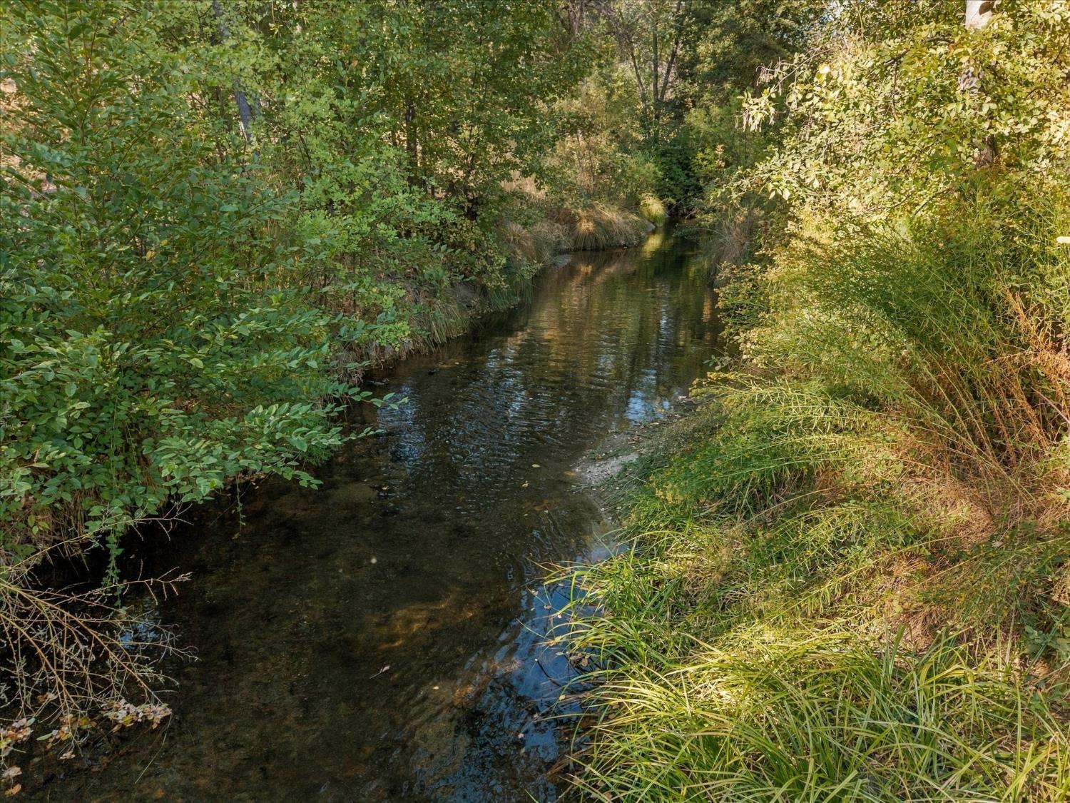 49672 Rocky Cut Rd, Oakhurst, CA 93644