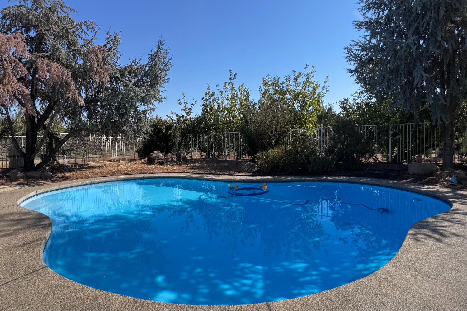 897 W Lincoln Ave, Fresno, CA 93706