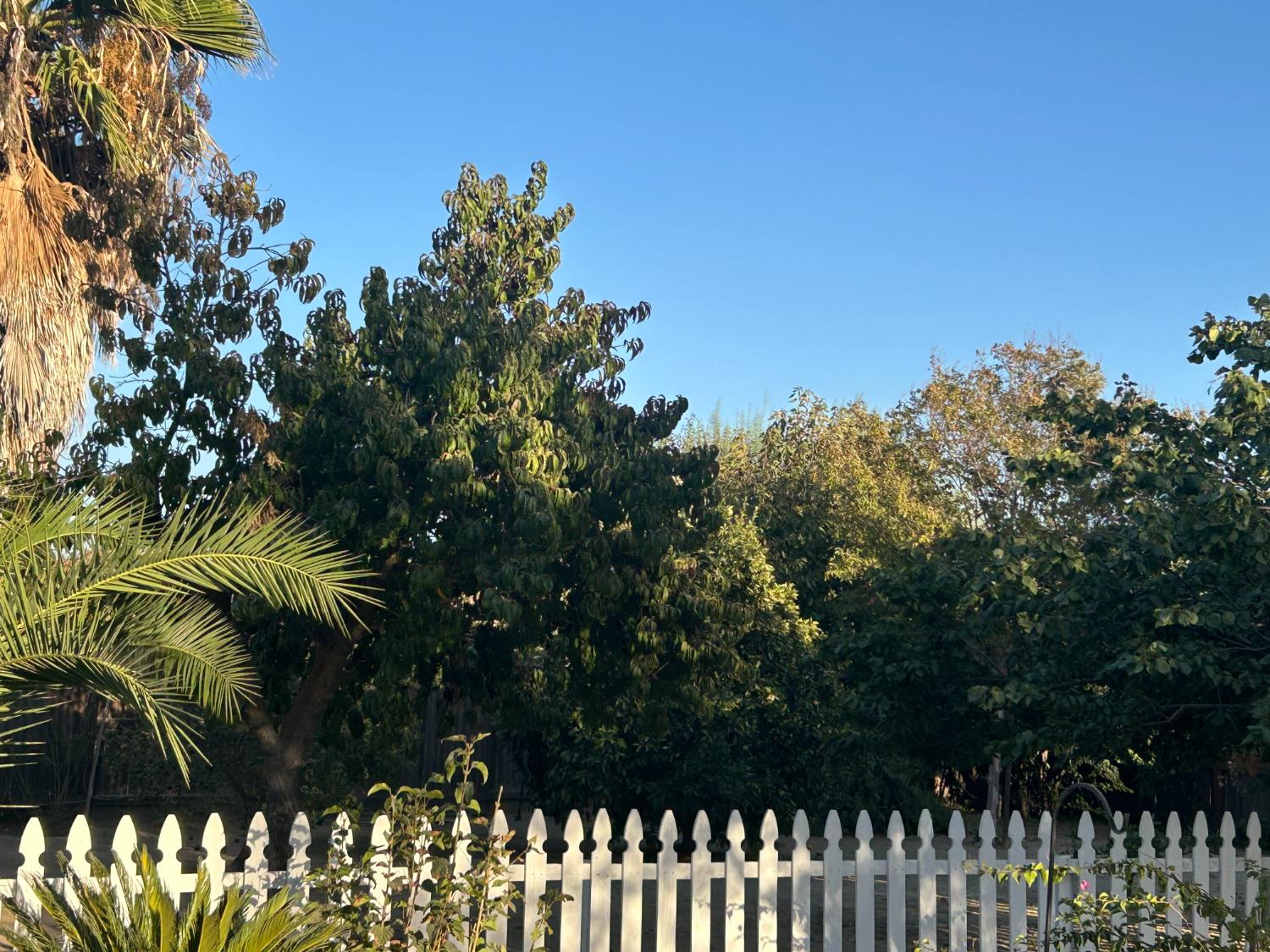 9695 Heatherhearst Dr, Chowchilla, CA 93610