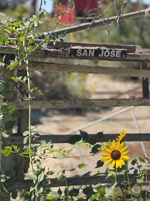 20055 Geer Ave, Hilmar, CA 95324