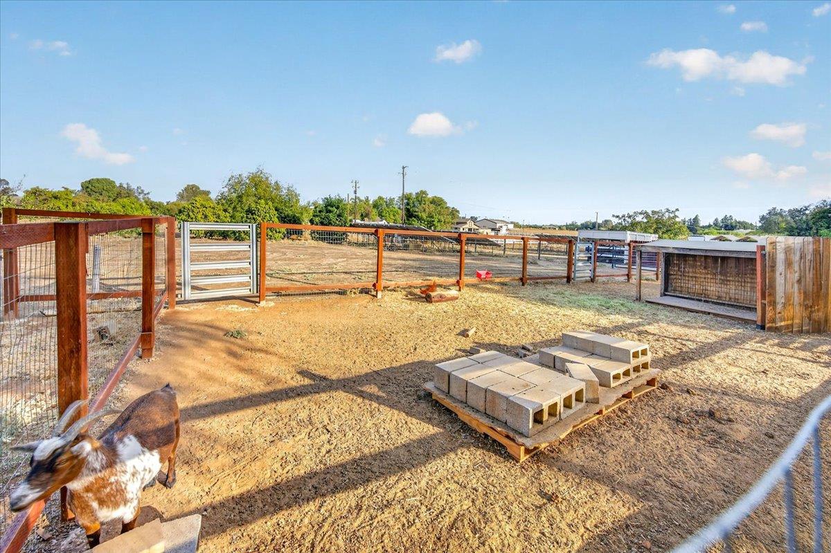 6668 Forrestal Ave, Clovis, CA 93619