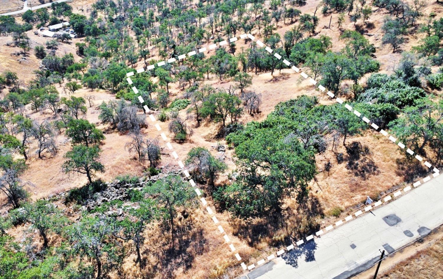 391 Sunflower Ln, Yokuts Valley, CA 93675