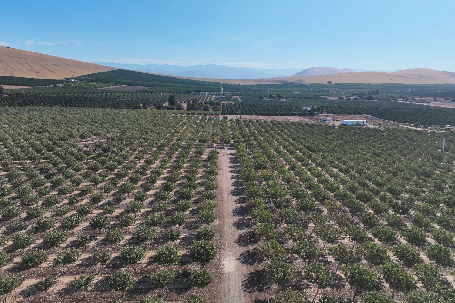 26954 Avenue 96, Terra Bella, CA 93270