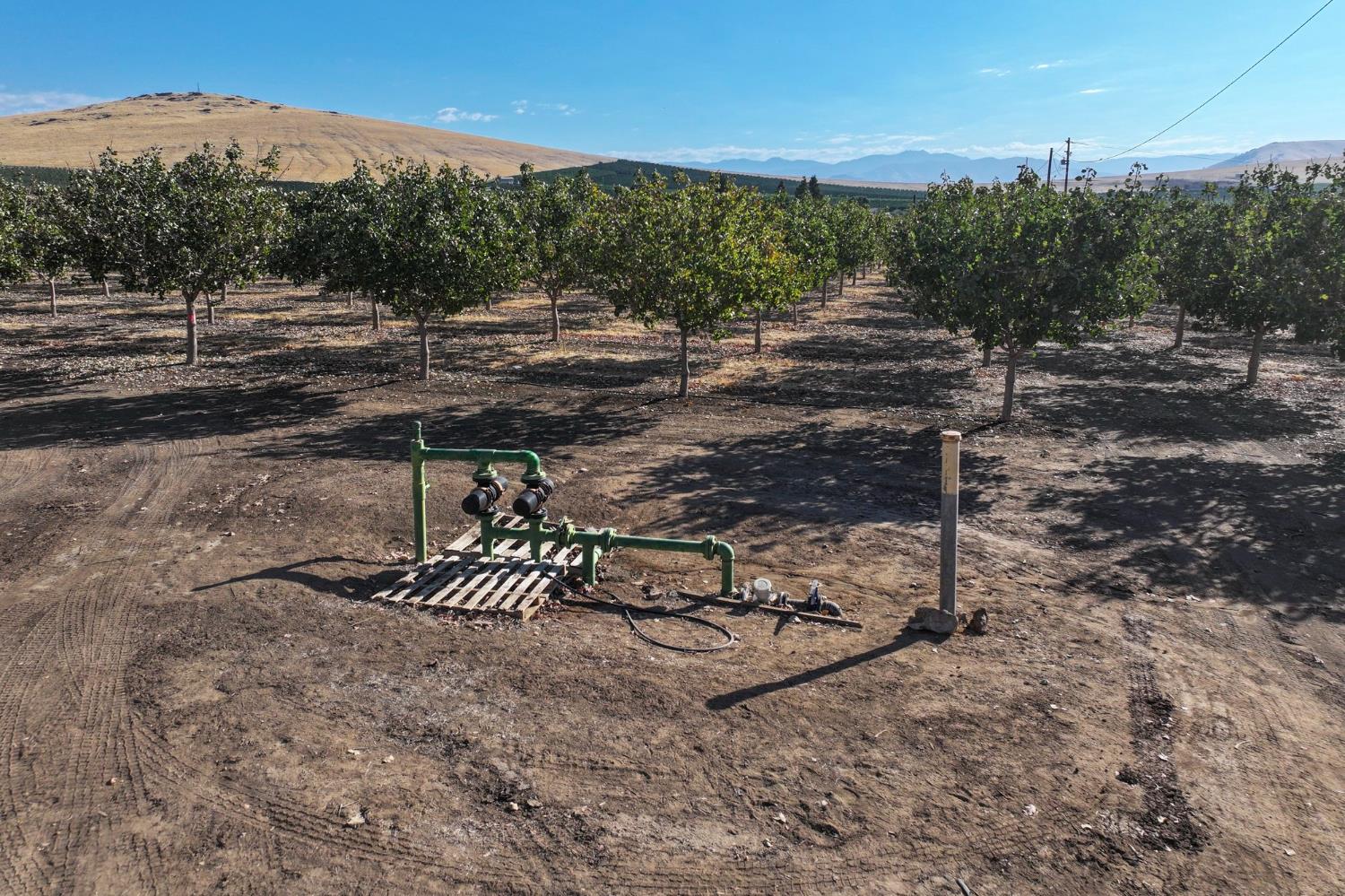 26954 Avenue 96, Terra Bella, CA 93270