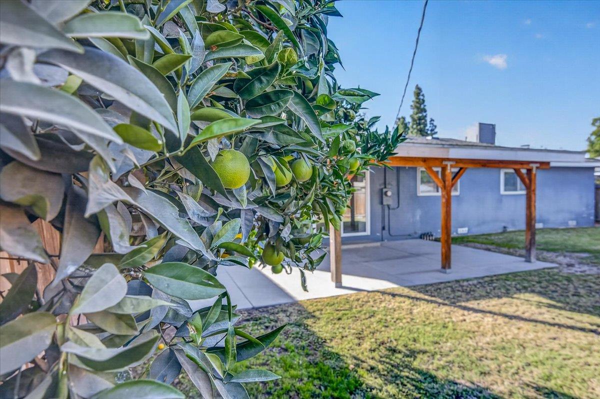 4308 N Cedar Ave, Fresno, CA 93726