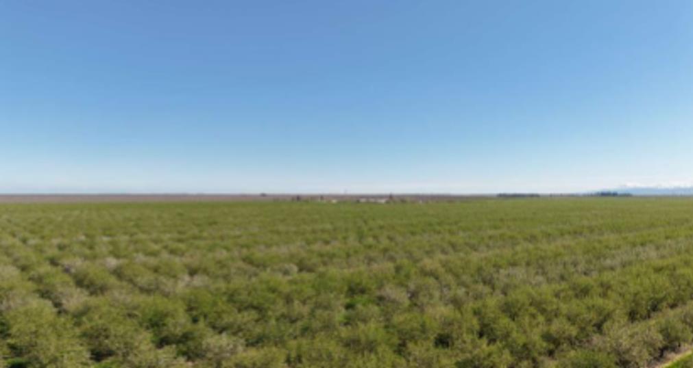 5519 Russell Ave, Firebaugh, CA 93622