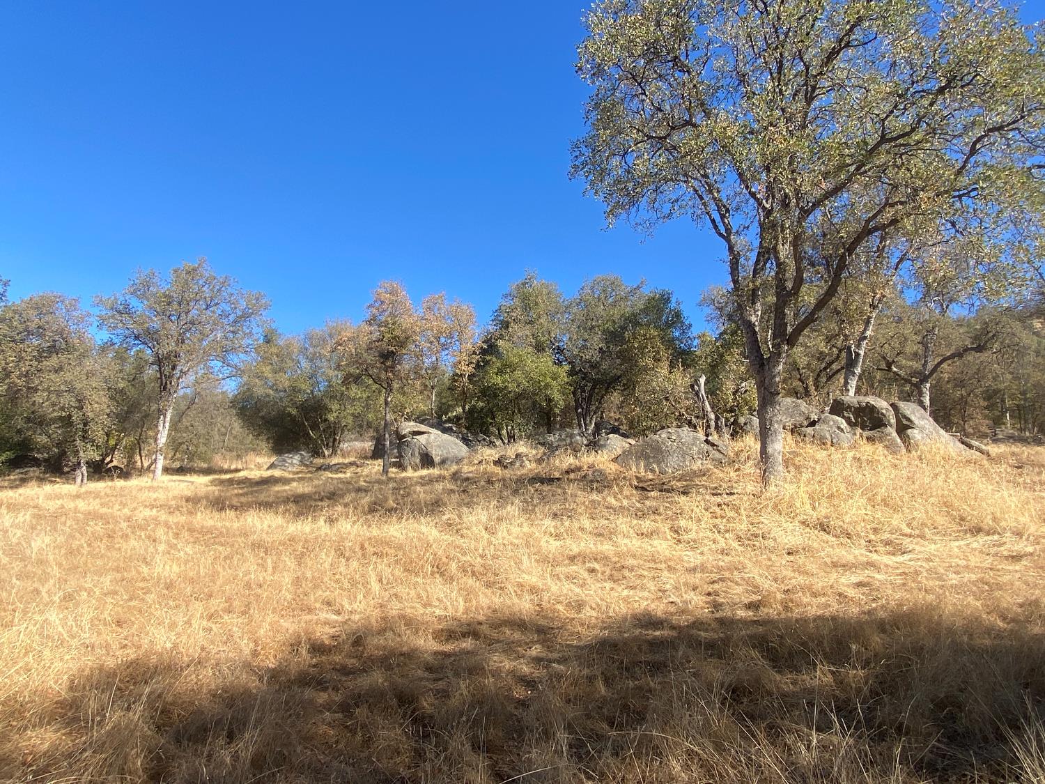 4498 Highway 49 S, Mariposa, CA 95338