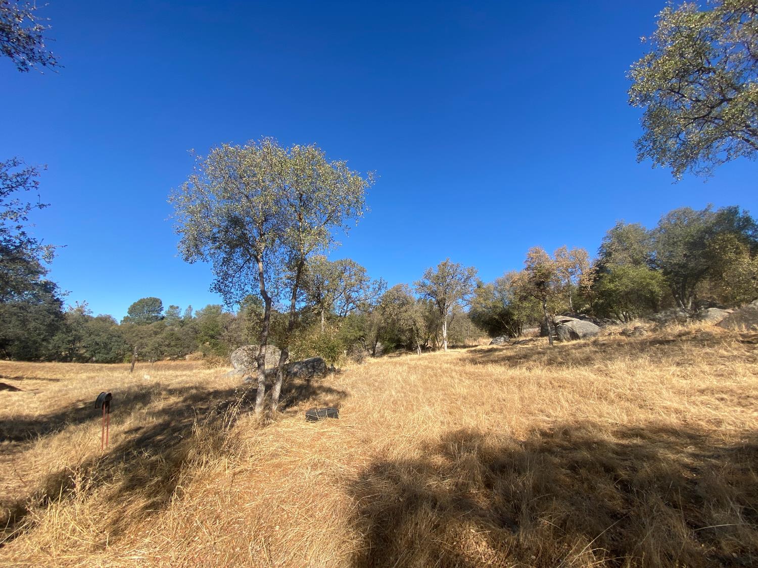 4498 Highway 49 S, Mariposa, CA 95338