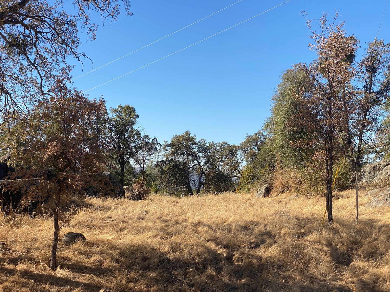 4498 Highway 49 S, Mariposa, CA 95338