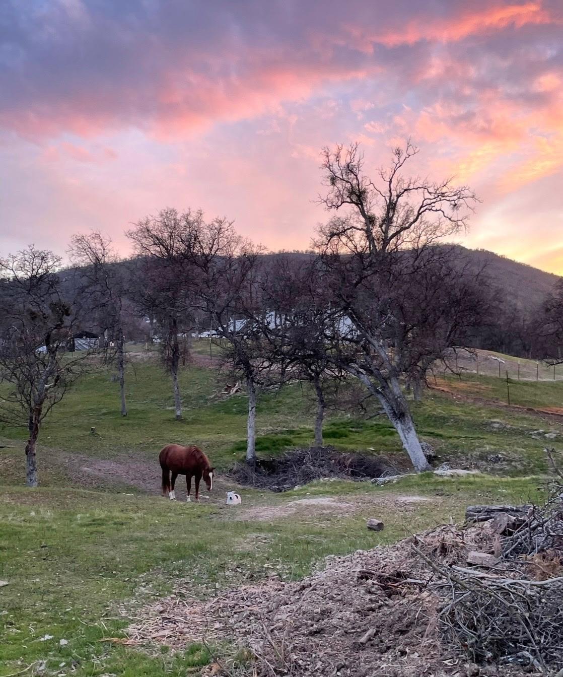 28605 Burrough North Rd, Tollhouse, CA 93667