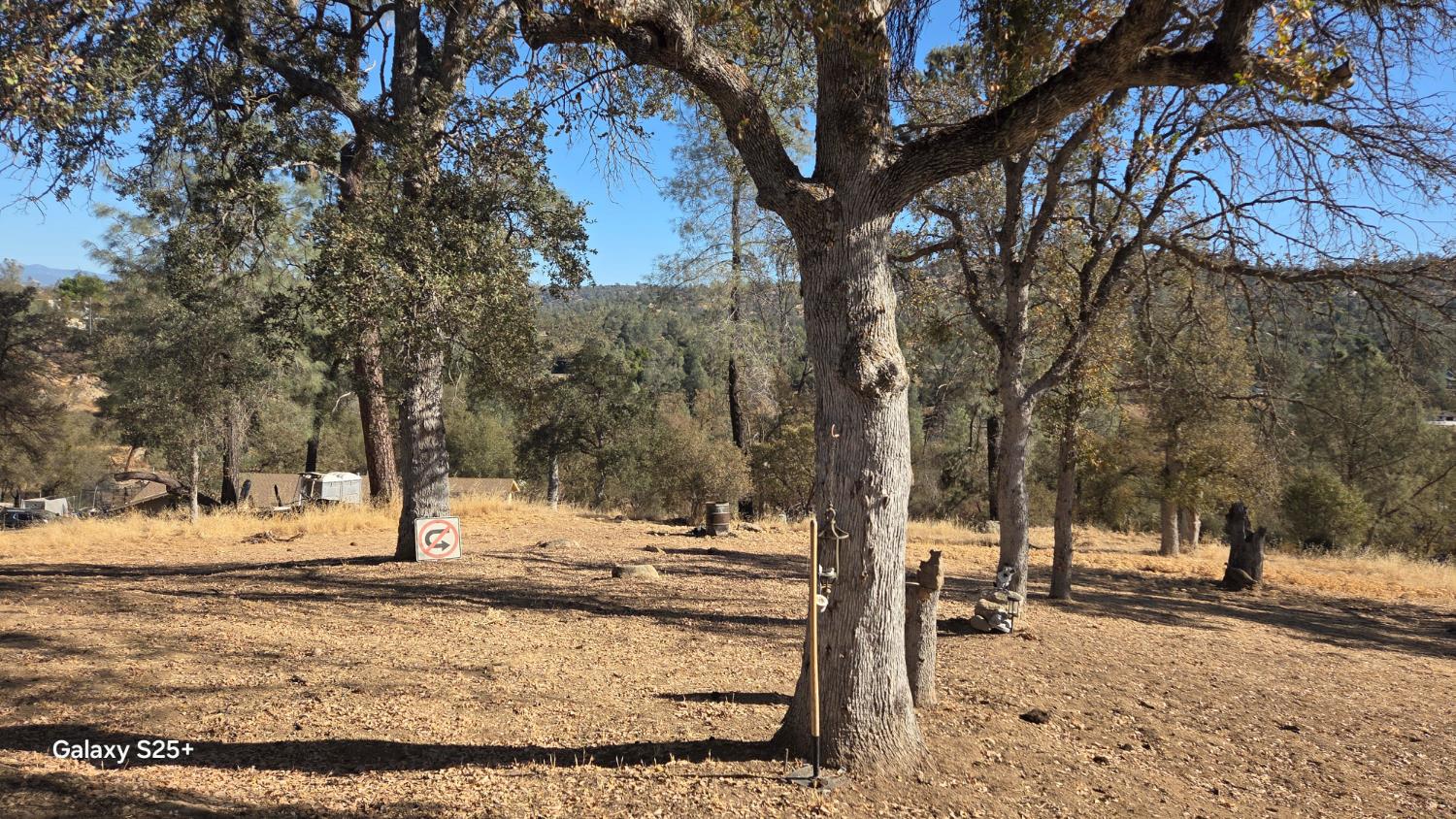 29573 Jim Bowie Ct, Coarsegold, CA 93614