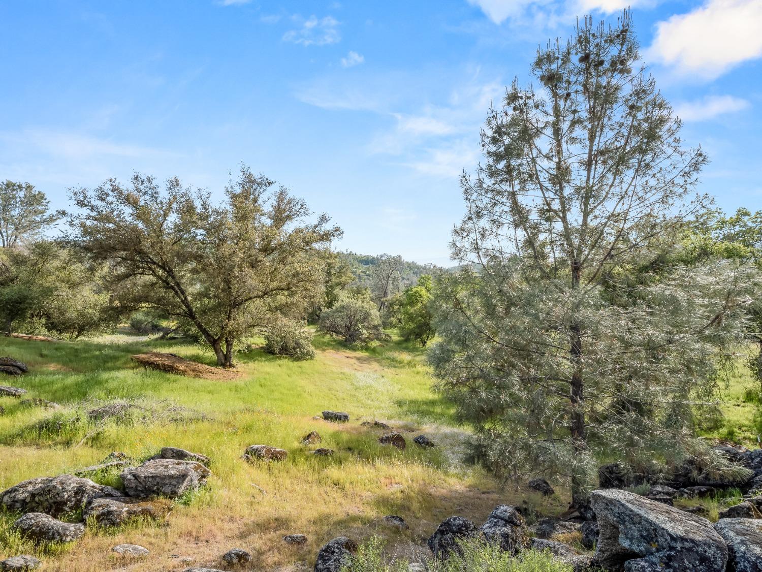 41797 River Knolls Way, Coarsegold, CA 93614