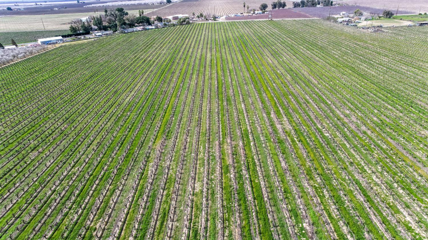 10690 S Henderson Rd, Fresno, CA 93706