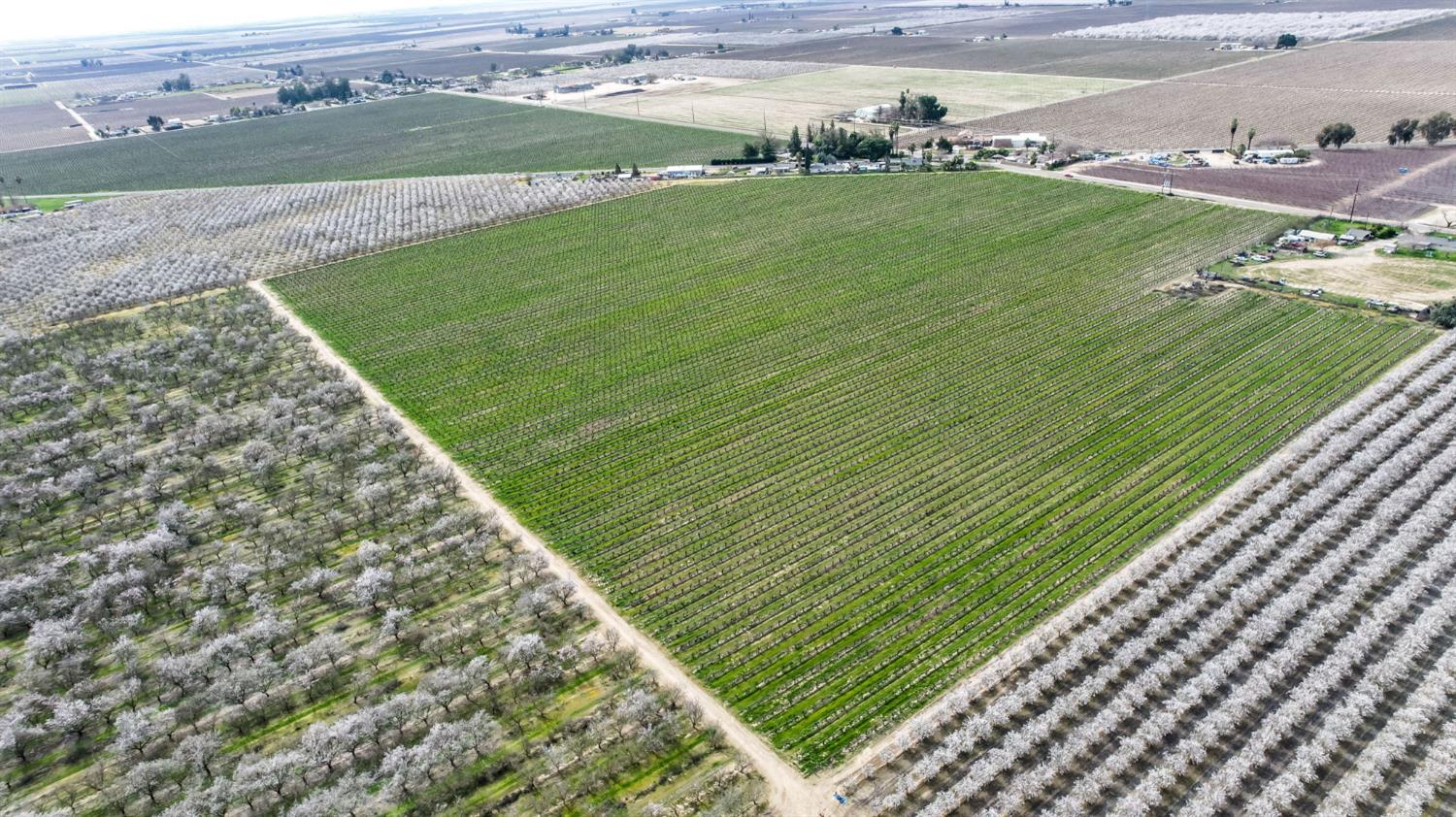 10690 S Henderson Rd, Fresno, CA 93706