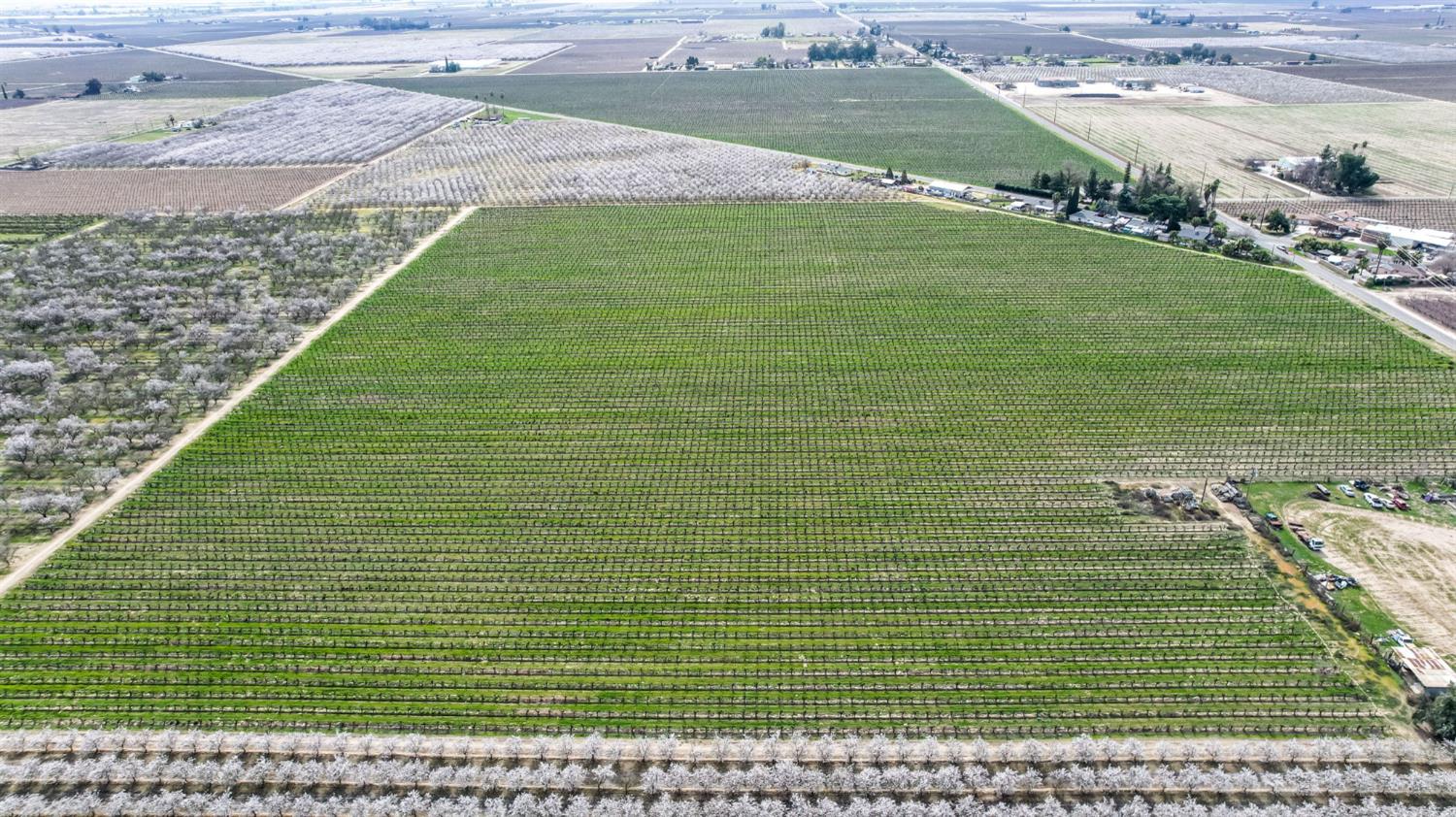 10690 S Henderson Rd, Fresno, CA 93706