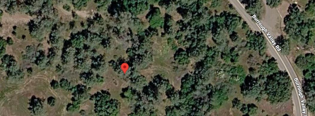 27719 Burrough Valley Rd, Tollhouse, CA 93667