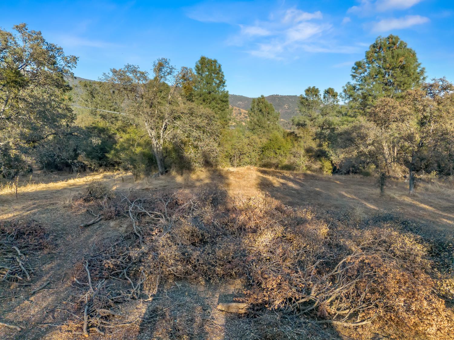 27719 Burrough Valley Rd, Tollhouse, CA 93667