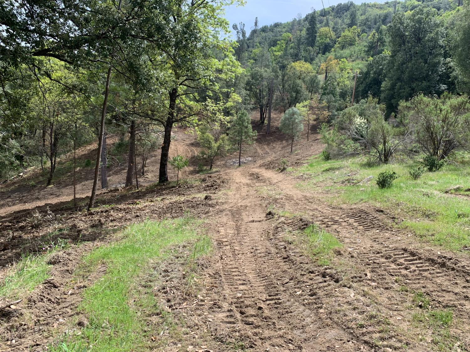 3 Road 222, Oakhurst, CA 93644
