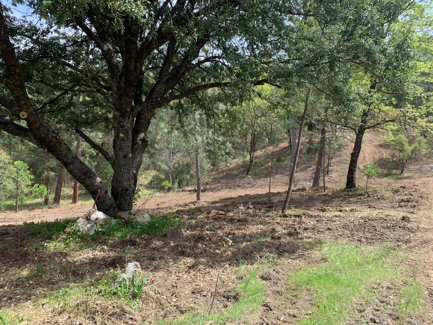 3 Road 222, Oakhurst, CA 93644