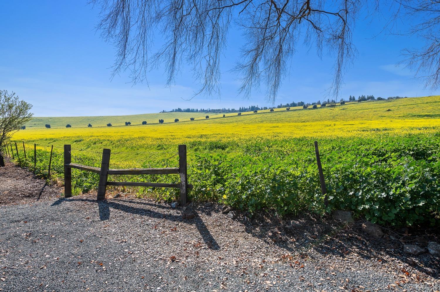 0 Valley View Dr, Exeter, CA 93221