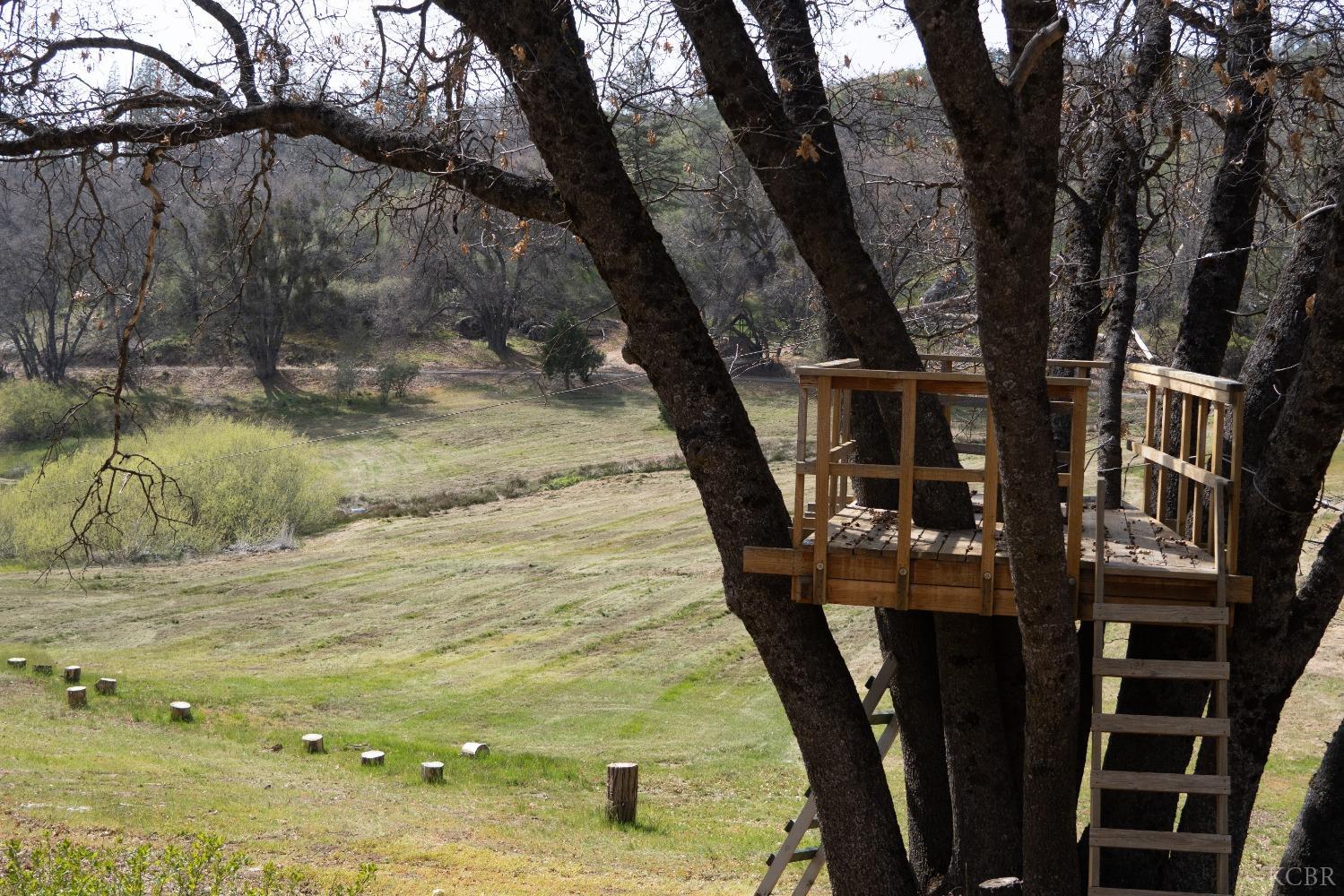 45334 Poso Park Dr, Posey, CA 93260