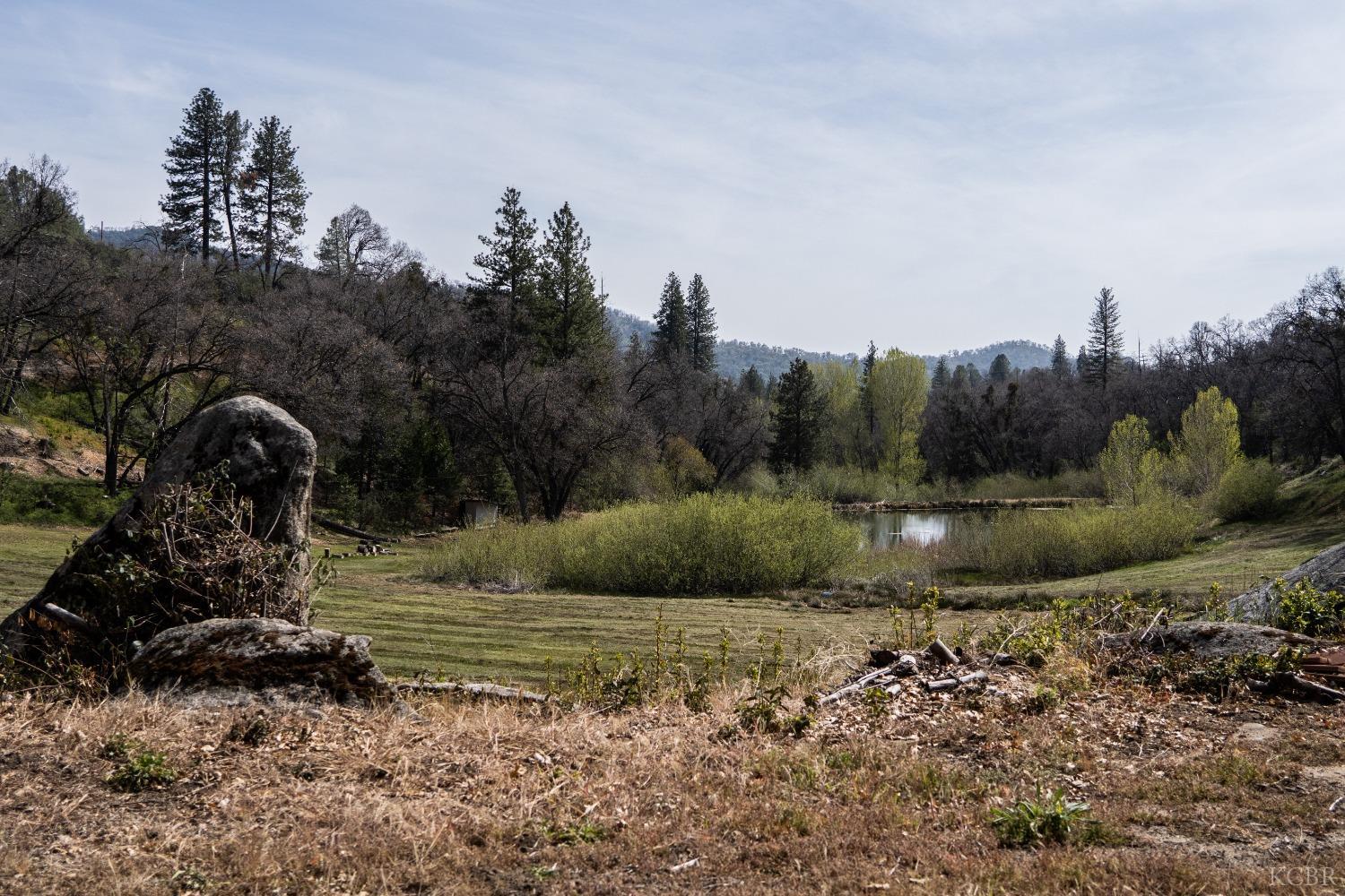 45334 Poso Park Dr, Posey, CA 93260