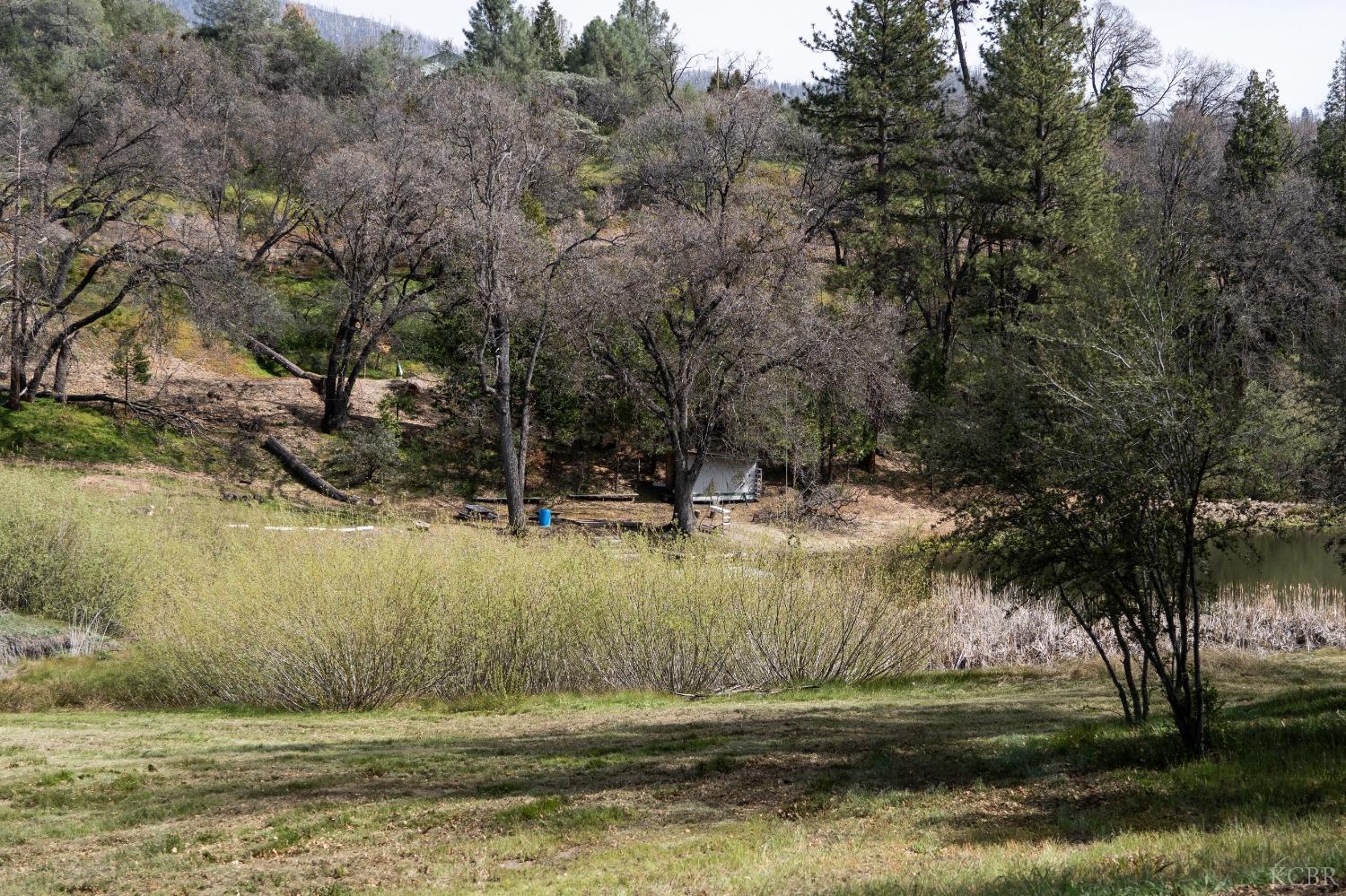 45334 Poso Park Dr, Posey, CA 93260