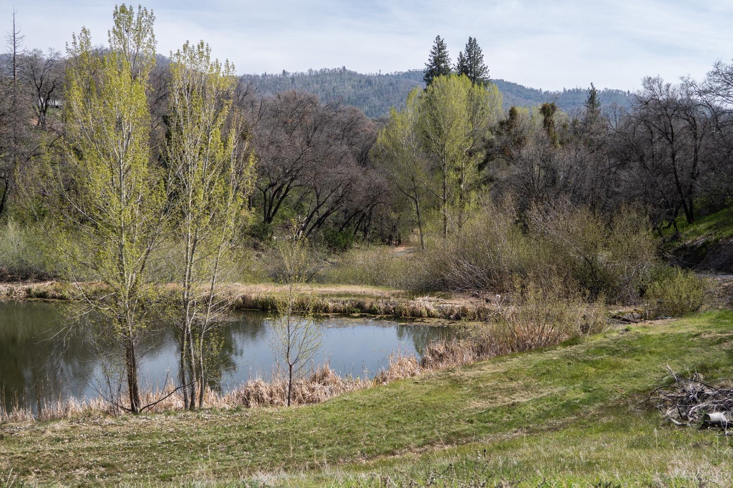 45334 Poso Park Dr, Posey, CA 93260